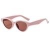 Novos óculos de sol estilo olho de gato da moda coreana para mulheres, moda popular na internet, rosto mostrando pequenos óculos de sol, óculos de sol resistentes a raios UV