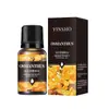 Óleo Essencial Aromático Solúvel em Água YINSHO 10ml Difusor Pedra de Incenso sem Fogo Agente de Fragrância Aromática Rosa Jasmim