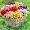 Amazon Flores Artificiales Flores Artificiales Violeta de Cinco Pétalos Flores Artificiales de Plástico Decoración Exterior Hogar Boda Fotografía Flores