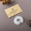 Wa Hotel Supplies Productos Desechables para Casas de Huéspedes Gorro de Ducha a Prueba de Polvo Gorro para Tratamiento Capilar Adulto con Rayas Blancas Venta al por Mayor