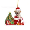 2023 Sombrero de Navidad Transfronterizo Decoraciones Navideñas para Perro Colgante Animal Plano Acrílico Colgante Decorativo Diseño de Escena