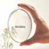 3-90cm Bola de Plástico Transparente Decorativa Navideña Bola Navideña Flor Eterna Bola Redonda Hueca Bola Decorativa Colgante de Acrílico