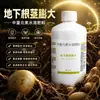 Agente hinchador de rizomas subterráneos Tierra especial para hinchamiento subterráneo Patatas Camotes Cabezas de ajo Camotes Fertilizante foliar de alta calidad