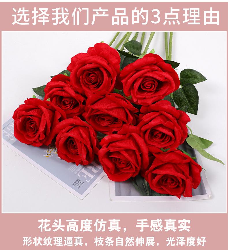 玫瑰_02.jpg