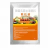 Fertilizante Granular Borato de Cálcio Magnésio Solúvel em Água Fertilizante de Boro de Liberação Lenta para Proteção de Flores Pegamento de Frutos Promoção de Raízes Pegamento de Frutos Adubação de Cobertura Agrícola Enraizamento Base Inchaço de Raízes