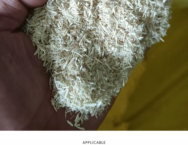 小木屑