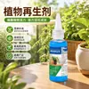 Agente de regeneración de plantas líquido de resurrección flor planta verde en maceta universal barra de luz amarilleamiento árbol de la fortuna solución nutritiva para crecimiento carnoso