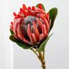 Decoración de Flores Artificiales de Primavera Flor Dominante Flor Artificial Hecha a Mano Diseño de Escena Flor Artificial Afelpada Venta al por Mayor Flor Artificial Imperial