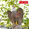 Águia de Simulação/Pena de Asa Águia Adereços Decoração/Modelo/Adereços de Ensino Adereços de Fotografia/