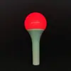 Pelota de Mano Brillante LED Acrílica Controlada por Control Remoto, Palo Fluorescente para Animación en Conciertos de Celebridades, Señal de Mano Brillante Personalizable