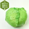 Adereços de vegetais de simulação modelo de vegetal de simulação folhas de alface falsas brócolis repolho adereços de supermercado frutas e vegetais crianças