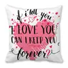Feliz Día de San Valentín Feliz Funda de Almohada Piel de Durazno Funda de Almohada Plataforma Transfronteriza Suministro de Fábrica zxt561