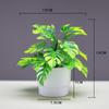 Simulação de planta verde cilindro de planta em vaso de plástico Simulação de eucalipto falso terno de planta verde ornamentos de planta de flor artificial de plástico bonsai