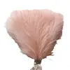 Hierba de pampa artificial corta de seis puntas transfronteriza flor de simulación en stock decoración del hogar pluma de simulación accesorios de boda al por mayor