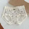 Calcinhas Femininas 10A com Renda na Borda, Amigáveis à Pele, Antibacterianas, Qualidade Classe A para Bebês, Cintura Média, Ajustadas ao Quadril, Confortáveis, Borda que Não Enrola