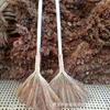 Escoba de Madera Hecha a Mano Tradicional con Tallos de Sorgo para Uso Doméstico, Escoba para Patio Exterior con Tallos de Sorgo