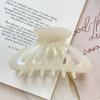 Estilo Francés Mechones Sueltos Parte Trasera de la Cabeza Pinza Grande para el Cabello Hueca Empaque Individual Pinza para el Cabello de Ácido Acético para Mujer