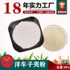 Polvo de Cáscara de Psyllium Grado Alimenticio Extracto de Cáscara de Psyllium Materia Prima de Fibra Dietética Polvo de Cáscara de Psyllium
