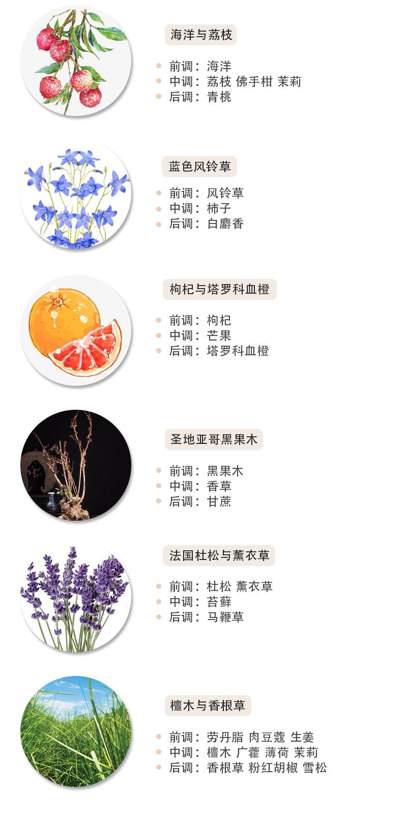 SC-BBLB91中_08.jpg