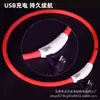 Collar Luminoso para Mascotas Transfronterizo, Collar para Perros de Silicona con Carga USB, Antiperdida por la Noche
