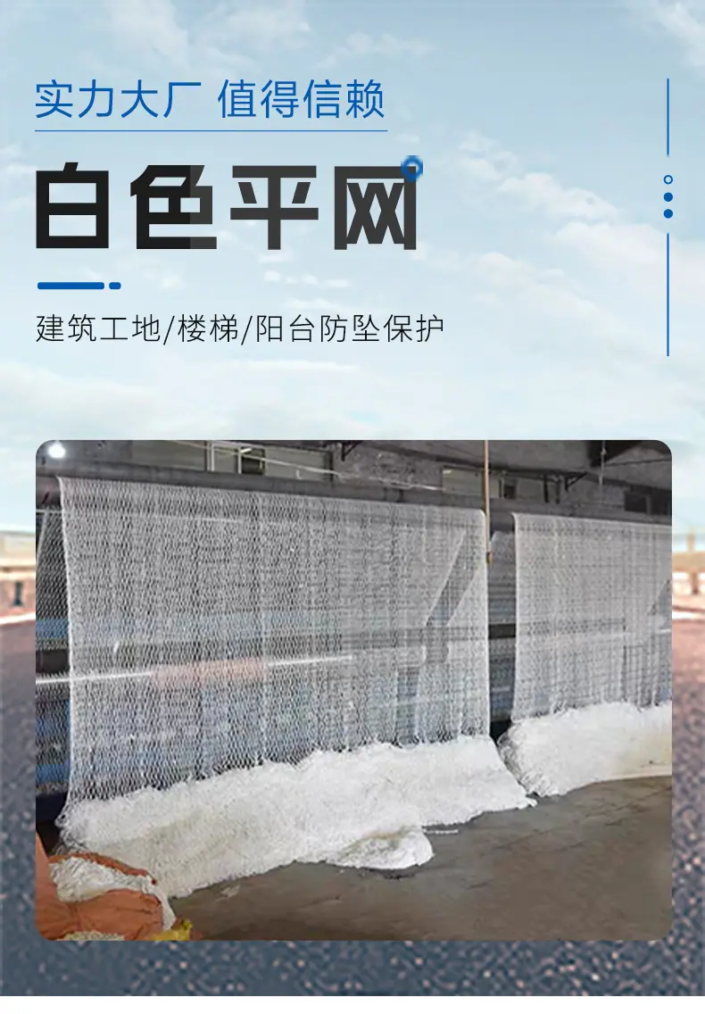 白网_01