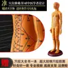 Modelo de Corpo Humano com Pontos de Acupuntura para Praticar Inserção de Agulha, Diagrama Completo do Corpo com os Doze Meridianos da Medicina Chinesa, Modelo de Cobre em Forma Humana