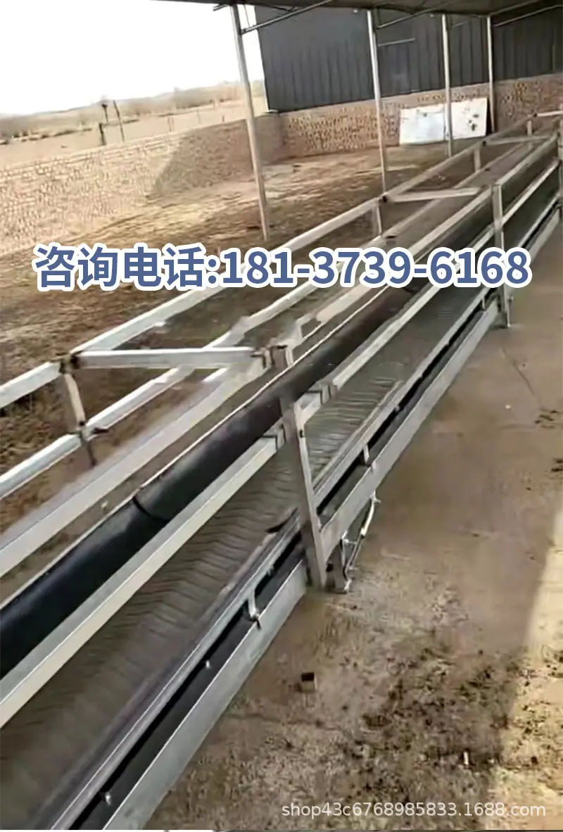 羊用草料输送带-详情_04.jpg