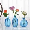 Estilo Escandinavo Vaso de Vidro Criativo Decorações Ornamentais para Sala de Estar Mesa de Café Arranjo de Flores Vaso Seco Garrafa de Vidro Colorida
