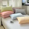 Funda de almohada de terciopelo de leche estilo blogger Ins, pieza única, invierno, engrosada, cálida, terciopelo de coral, funda versátil para núcleo de almohada, 48*74, artículo único