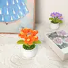 Producto Terminado Más Vendido Transfronterizo Nomeolvides Planta Linda en Maceta Regalo para el Día del Maestro Regalo para el Día de la Madre Regalo de Decoración para el Hogar