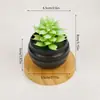 Enfeites de plantas suculentas artificiais mini verdes para fábrica transfronteiriça para sala de estar, plantas em vasos internas, mesa de casa e escritório