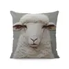 Funda de Almohada de Perro de Alpaca Más Vendida Transfronteriza, Linda Funda de Cojín Decorativa para Dormitorio de Gato, Hogar, Sofá