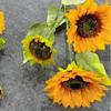 Girasoles Amarillos Artificiales al por Mayor, Girasoles Multicabezales, Girasoles para Decoración Suave de Boda, Accesorios de Fotografía, Flores Falsas Decorativas