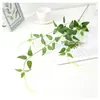 Plantas de Simulação Trepadeiras Jardinagem Engenharia Cenário Layout Hotel Estilo Floresta Hera Ginkgo de Quatro Garfos Plantas Verdes