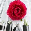 Nuevos productos transfronterizos: simulación de peonías, flores, decoración de mesas de comedor, bodas, estudios cinematográficos, capullos de flores, arreglos florales para hoteles, accesorios de ropa, flores decorativas.