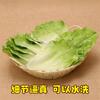 Modelo de hoja de lechuga de alta simulación de PU, simulación de verdura, restaurante, casa de campo, mercancía, muestra de ventana, plato de exhibición, accesorios