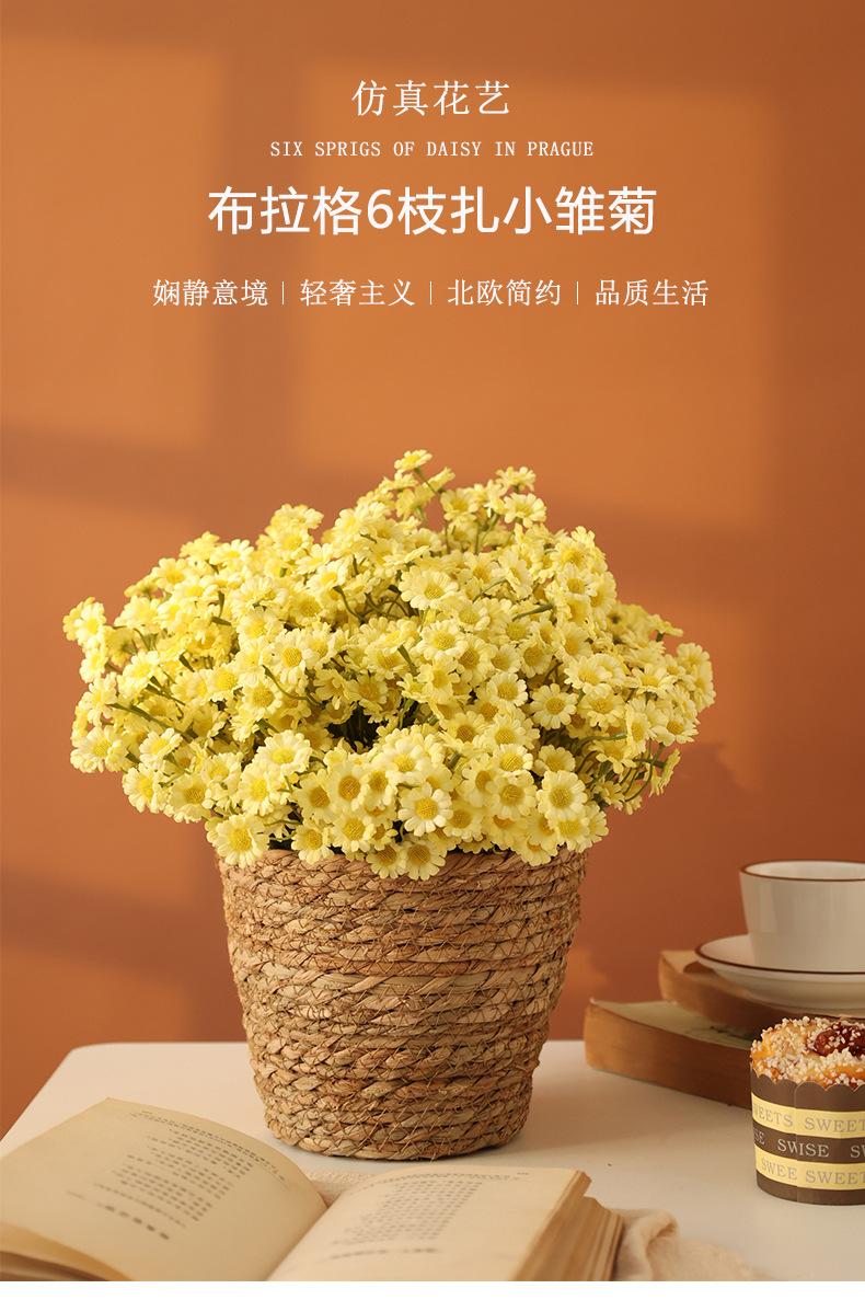 布拉格6枝扎小雏菊_01.jpg