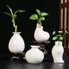 Jarrón Pequeño Hidropónico de Cerámica Nórdica Simple Pequeños Adornos Sala de Estar Arreglo Floral Mueble de TV Decoraciones para el Hogar Decoración Creativa