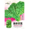 Semillas de Col Rizada Yanyou, Verdura de Crecimiento Rápido Resistente al Frío para Huerto y Granja, Semillas de Verduras de Hoja, Plantas en Maceta para Balcón para Sembrar en Todas las Estaciones