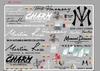 Adesivos de Transferência Térmica, Impressão por Transferência Térmica, Logo para Roupas, Hot Stamping, Tinta Branca, Strass, Etiquetas Personalizadas, Transferência Térmica Profissional Criativa