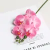 Flor Artificial de Orquídea Mariposa de Película de 5 Piezas Decoración Suave de Hogar de Alta Gama Accesorios Florales para Fotografía de Bodas Venta al por Mayor de Flores Artificiales Transfronteriza