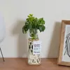 Conjunto de Vasos de Vidro Trançados em Palha Transfronteiriço Copo de Ovo Retrô Tecido à Mão Conjunto de Copos para Aromaterapia Copo para Velas Pote de Armazenamento Trançado em Palha