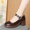 Sapatos Mary Jane Estilo Retrô com Fivela Única para Mulheres, Salto Bloco, Solado Grosso, Solado Macio, Versátil, Baixos, Confortáveis para o Dia a Dia, Sapatos para Mães