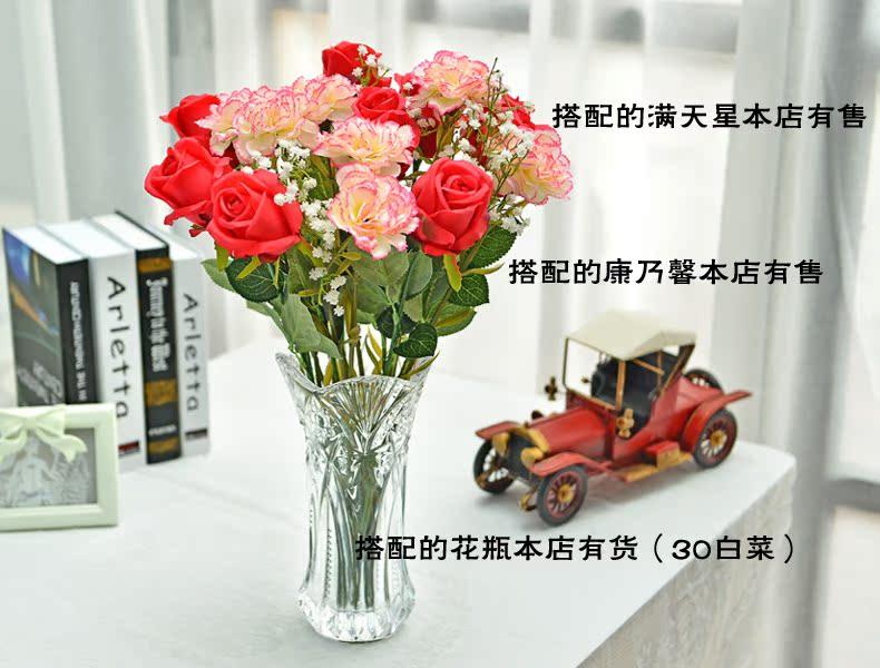 搭配满天星和康乃馨效果 拷贝.jpg