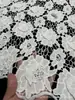 ¡ventas directas de fábrica! 3D tridimensional soluble en agua bordado por computadora encaje de seda de leche bordado accesorios de ropa tela mesa