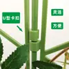 Enrejado Pantalla Soporte para Flores Rejilla Jardín Jardinería Soporte para Flores Pantalla para Flores Exterior Planta Forma Modular Soporte para Flores