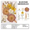 Marcador de página en relieve de flor seca DIY Material hecho a mano Espécimen de hoja Pegatina creativa Paquete de material de espécimen de planta para niños