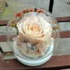 Regalo de Año Nuevo Cubierta de Vidrio Flor Preservada Kit de Materiales DIY Flor Seca Taller de Actividad Hecha a Mano Materiales