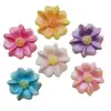 Flor Simulada Brilhante de Cinco Pétalas Série de Flores Coloridas Acessórios de Resina DIY Cola de Creme Capa de Celular Joias Ímã de Geladeira