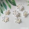 Tigela de Concha Natural Pulseira Flor Brinco Material Concha Borboleta Concha Esculpida Flor 10MM 6 Pétalas Acessórios DIY para Penteado
